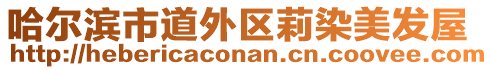 哈爾濱市道外區莉染美發屋