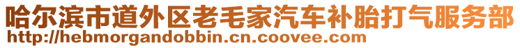 哈爾濱市道外區(qū)老毛家汽車補胎打氣服務(wù)部