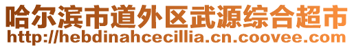 哈爾濱市道外區(qū)武源綜合超市