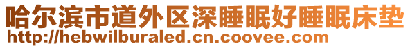 哈爾濱市道外區(qū)深睡眠好睡眠床墊