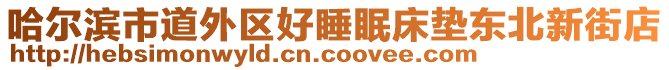 哈爾濱市道外區(qū)好睡眠床墊東北新街店