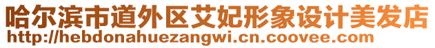 哈爾濱市道外區(qū)艾妃形象設(shè)計美發(fā)店