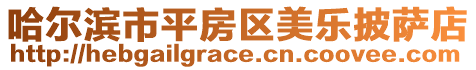 哈爾濱市平房區美樂披薩店