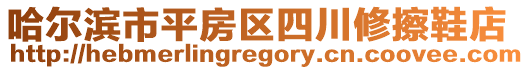 哈爾濱市平房區(qū)四川修擦鞋店