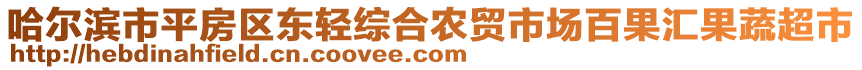 哈尔滨市平房区东轻综合农贸市场百果汇果蔬超市