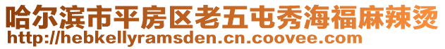 哈尔滨市平房区老五屯秀海福麻辣烫