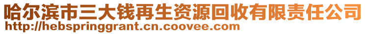 哈尔滨市三大钱再生资源回收有限责任公司