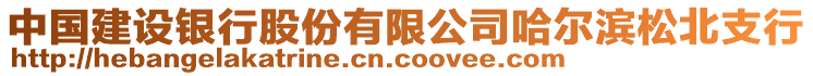 中國(guó)建設(shè)銀行股份有限公司哈爾濱松北支行