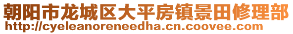 朝陽市龍城區(qū)大平房鎮(zhèn)景田修理部