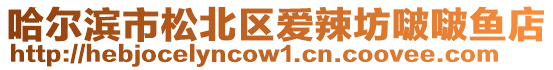 哈爾濱市松北區(qū)愛辣坊啵啵魚店