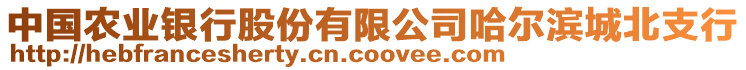 中國農(nóng)業(yè)銀行股份有限公司哈爾濱城北支行