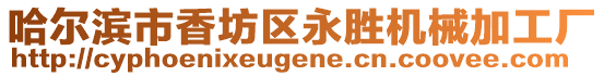 哈爾濱市香坊區(qū)永勝機(jī)械加工廠