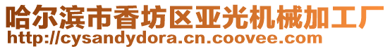 哈爾濱市香坊區亞光機械加工廠