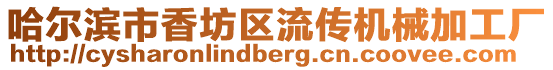 哈爾濱市香坊區(qū)流傳機(jī)械加工廠