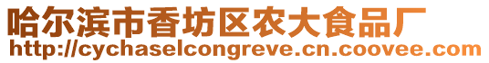 哈爾濱市香坊區(qū)農(nóng)大食品廠