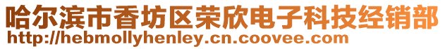 哈爾濱市香坊區榮欣電子科技經銷部