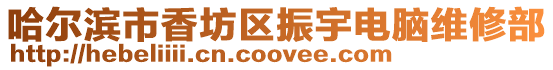 哈爾濱市香坊區振宇電腦維修部