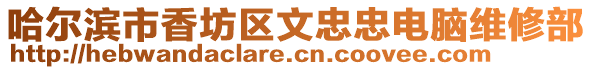 哈爾濱市香坊區文忠忠電腦維修部