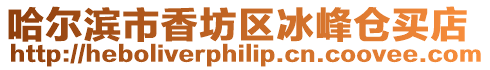 哈爾濱市香坊區(qū)冰峰倉買店