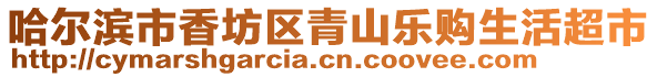 哈爾濱市香坊區青山樂購生活超市