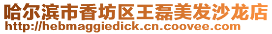 哈爾濱市香坊區王磊美發沙龍店