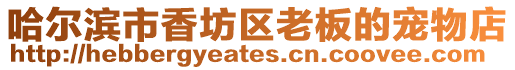 哈爾濱市香坊區老板的寵物店