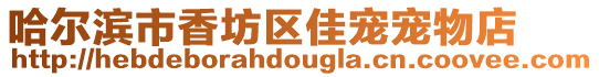 哈爾濱市香坊區佳寵寵物店