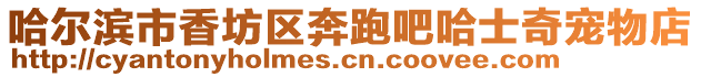 哈爾濱市香坊區奔跑吧哈士奇寵物店