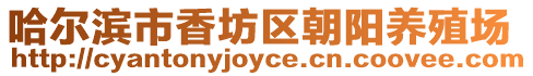 哈爾濱市香坊區朝陽養殖場