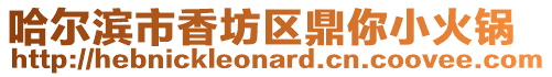 哈爾濱市香坊區(qū)鼎你小火鍋