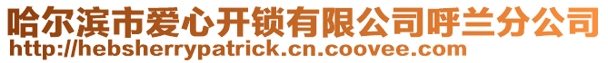 哈尔滨市爱心开锁有限公司呼兰分公司