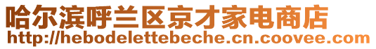 哈爾濱呼蘭區(qū)京才家電商店