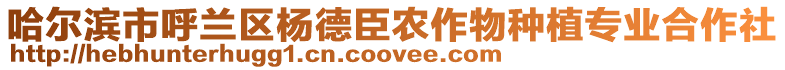 哈爾濱市呼蘭區(qū)楊德臣農(nóng)作物種植專業(yè)合作社