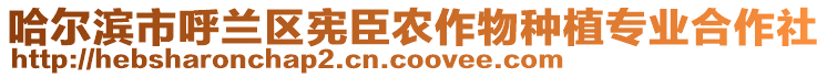 哈爾濱市呼蘭區(qū)憲臣農(nóng)作物種植專業(yè)合作社