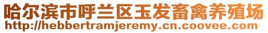 哈尔滨市呼兰区玉发畜禽养殖场