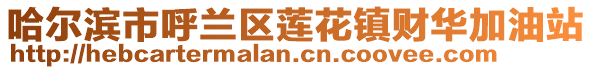 哈爾濱市呼蘭區(qū)蓮花鎮(zhèn)財(cái)華加油站