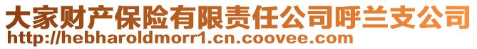 大家財(cái)產(chǎn)保險(xiǎn)有限責(zé)任公司呼蘭支公司