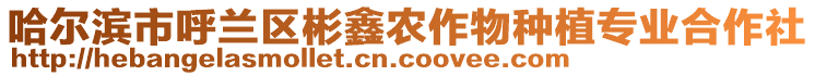 哈爾濱市呼蘭區(qū)彬鑫農(nóng)作物種植專業(yè)合作社