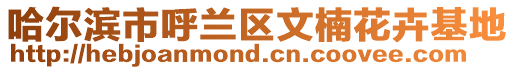 哈爾濱市呼蘭區(qū)文楠花卉基地