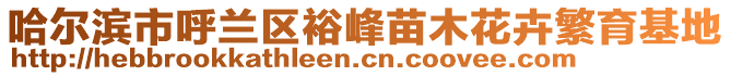 哈爾濱市呼蘭區(qū)裕峰苗木花卉繁育基地