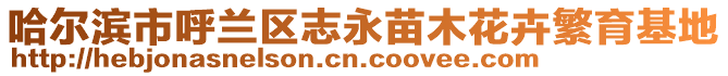 哈爾濱市呼蘭區志永苗木花卉繁育基地