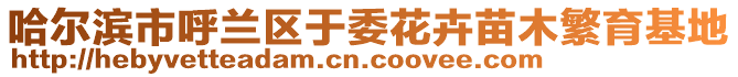 哈爾濱市呼蘭區于委花卉苗木繁育基地