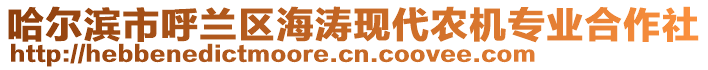 哈爾濱市呼蘭區(qū)海濤現(xiàn)代農(nóng)機(jī)專業(yè)合作社