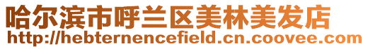 哈爾濱市呼蘭區美林美發店