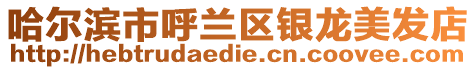 哈爾濱市呼蘭區銀龍美發店