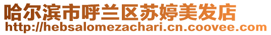 哈爾濱市呼蘭區蘇婷美發店