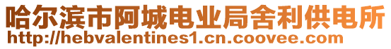 哈爾濱市阿城電業(yè)局舍利供電所