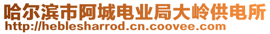 哈爾濱市阿城電業局大嶺供電所