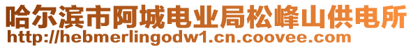 哈爾濱市阿城電業(yè)局松峰山供電所