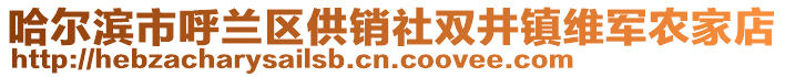 哈爾濱市呼蘭區(qū)供銷社雙井鎮(zhèn)維軍農(nóng)家店